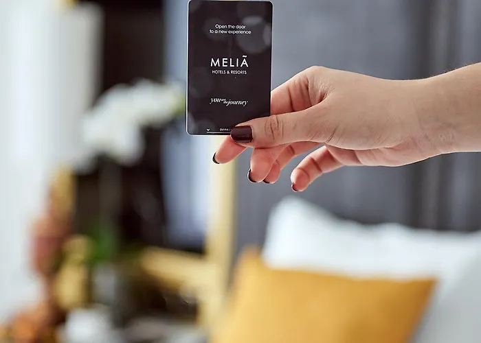 Meliá Champs Elysées Hotel Paris